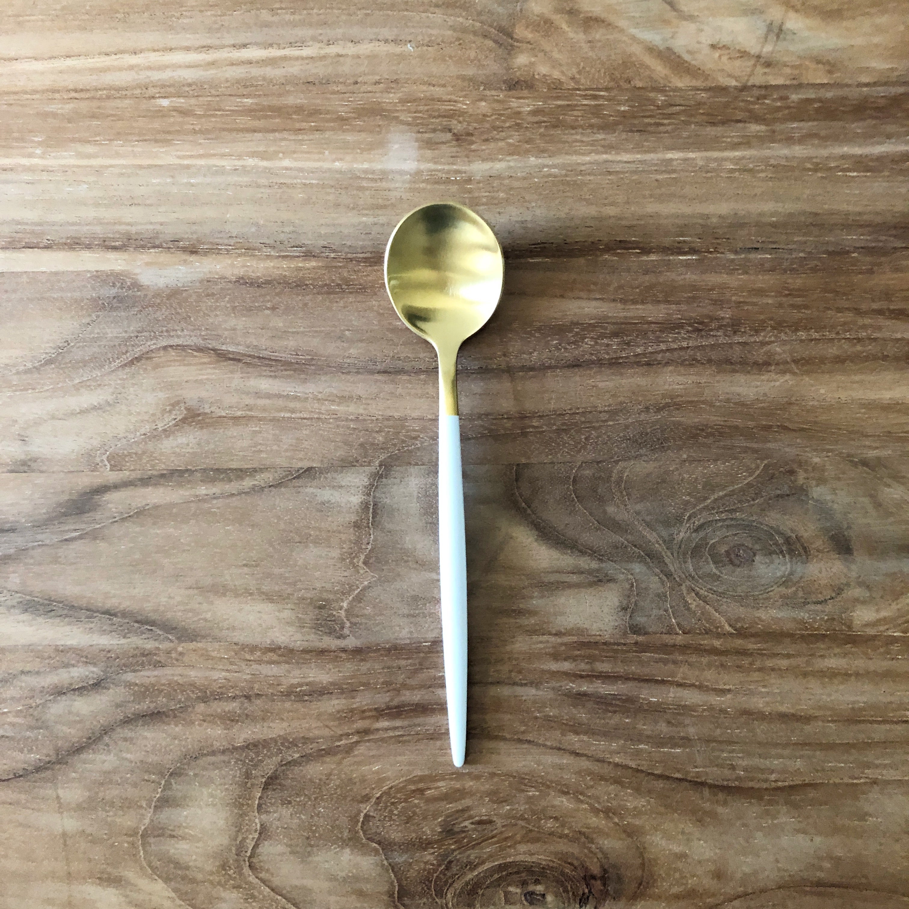 Dipped Cutlery Dessert Spoon