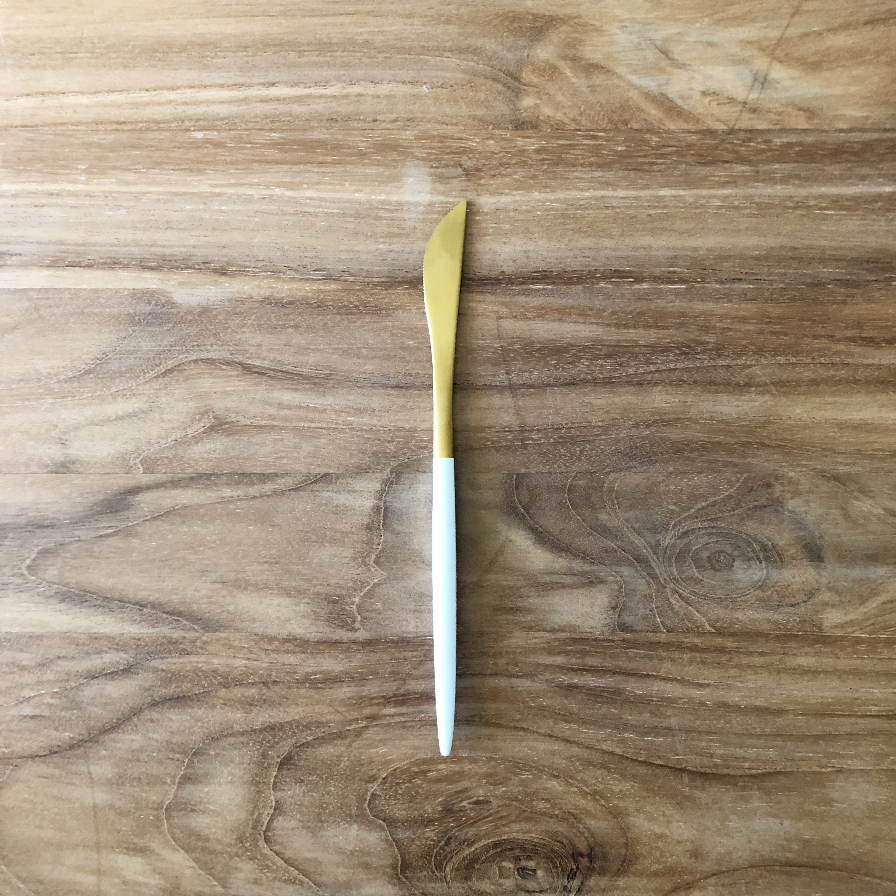 Dipped Cutlery Entree Knife