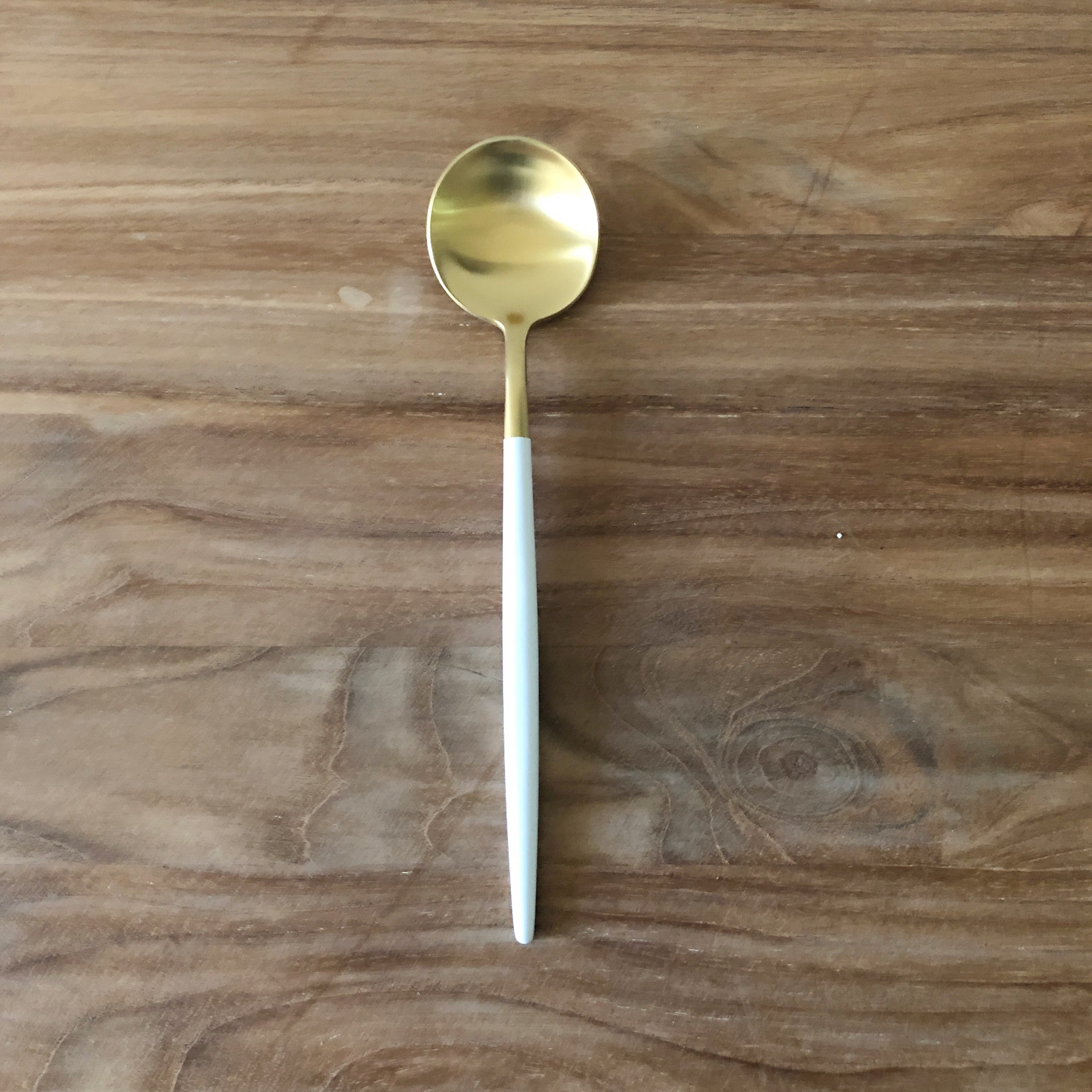 Dipped Cutlery Main Spoon