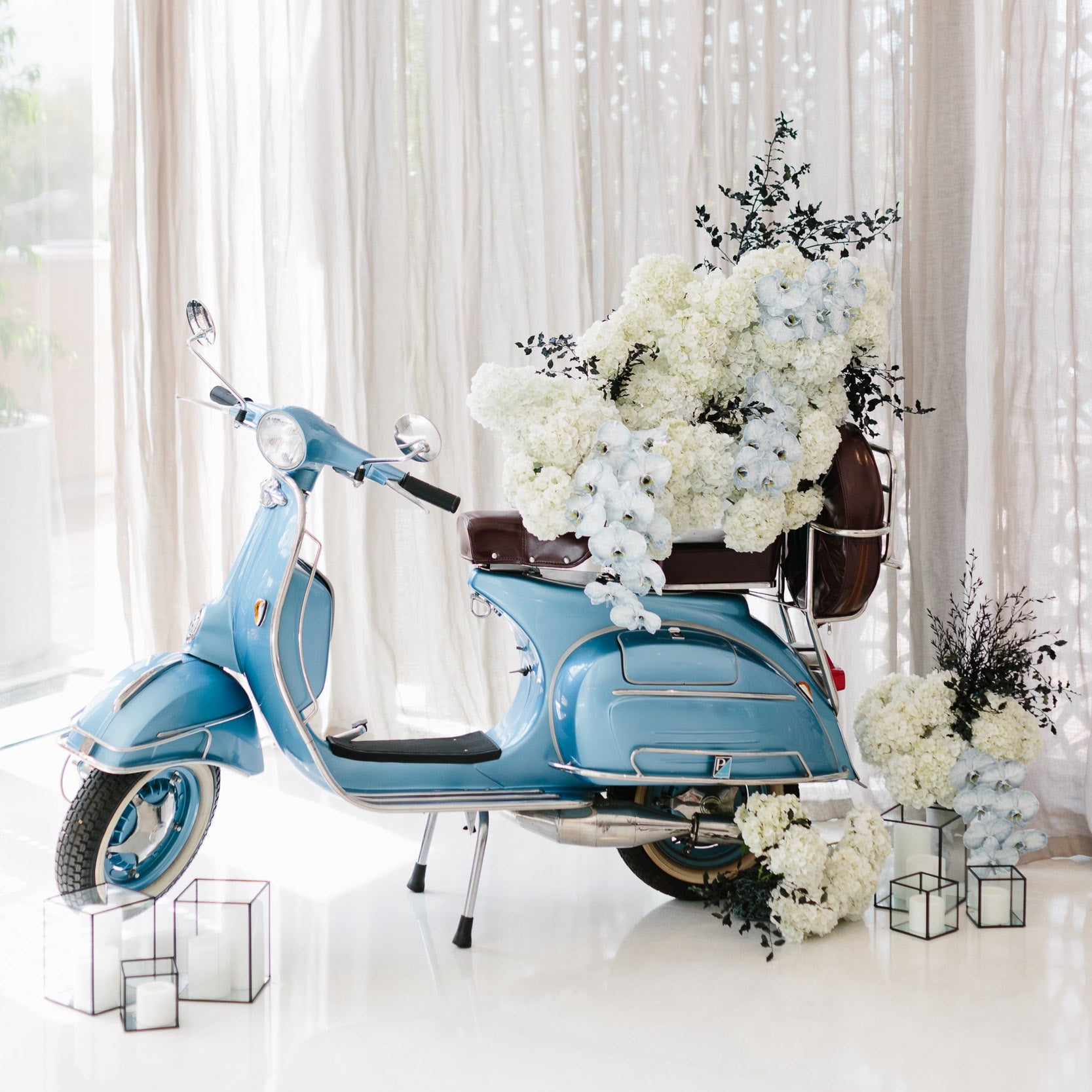 Black Lantern Medium